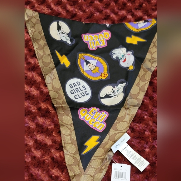 DISNEY × COACH SCARF - Picture 7 of 11